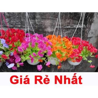 Hoa giấy handmade