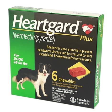 Heartgard Plus- Viên snack vị thịt bò- khắc tinh của các loại giun trên chó ( 1 viên)