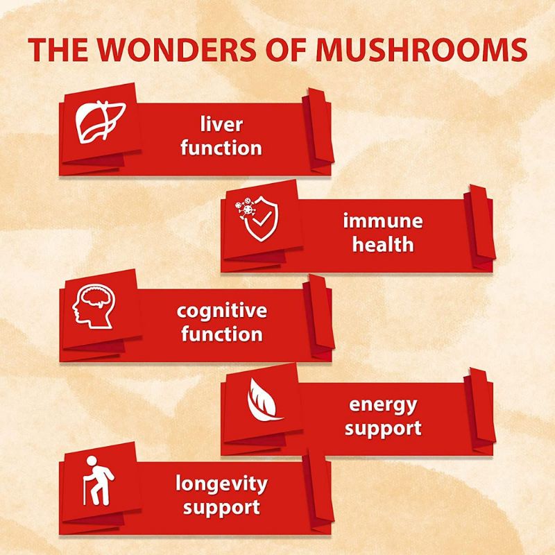 Tinh Chất Liposomal AHCC 1500mg Beta Glucan Chống Lão Hóa Giảm Diệt HPV 120v