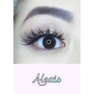 Set lông mi giả từ tóc thật 100% AOA Studio Eyelashes - Alexis 6-Pack