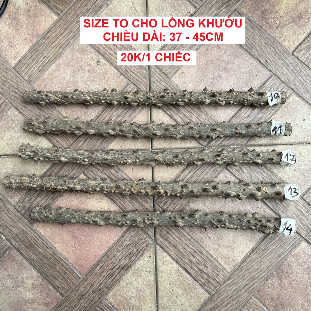 Cầu cho lồng chim họa mi, chòe, chào mào, khướu - Loại tuyển chọn (Được chọn mẫu)