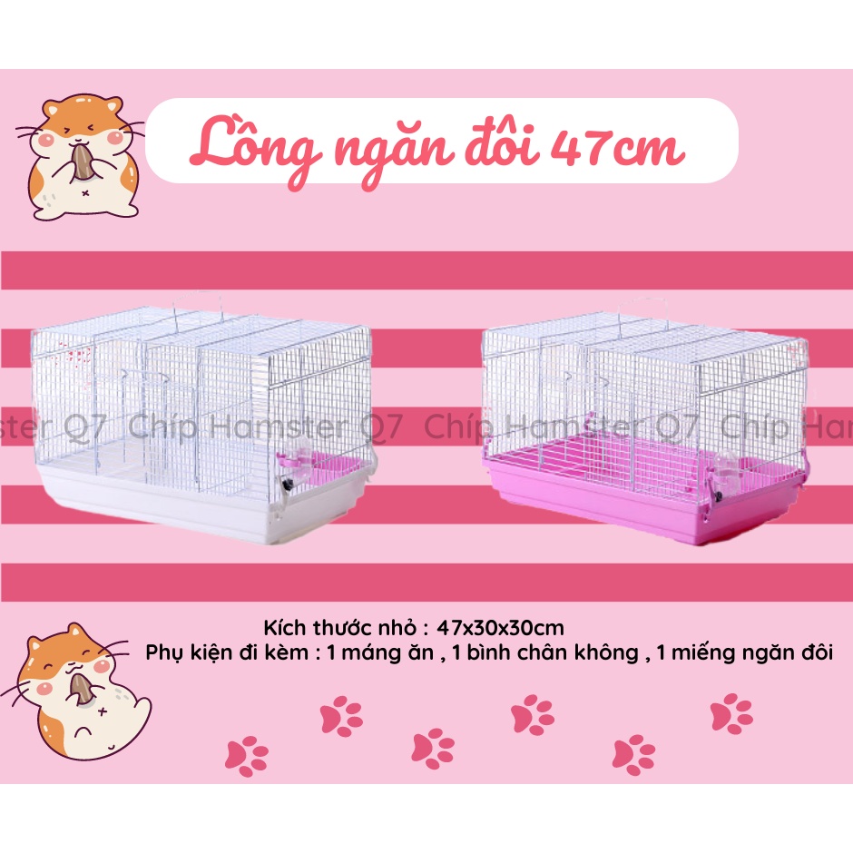Lồng đại ngăn đôi (Không Phụ Kiện)