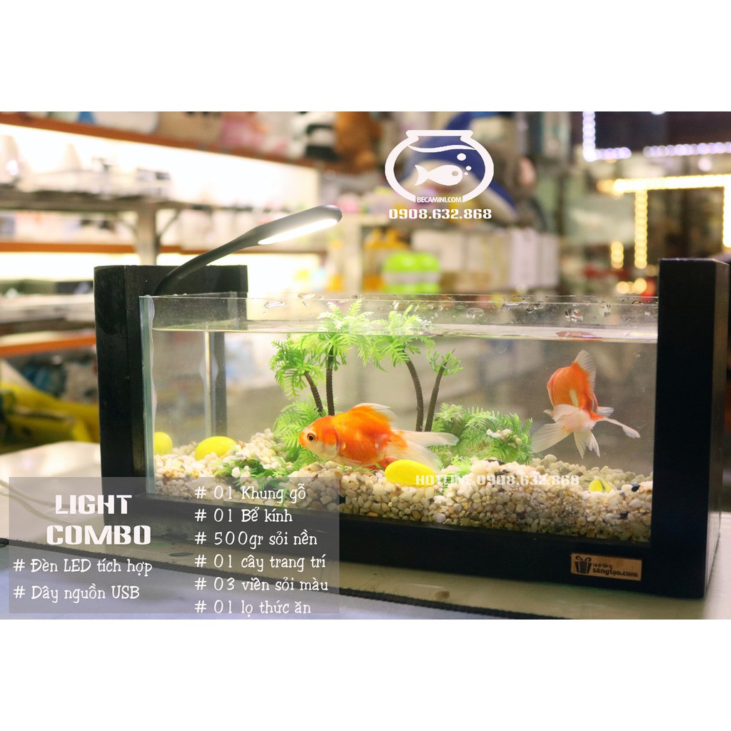 Bể cá mini khung gỗ