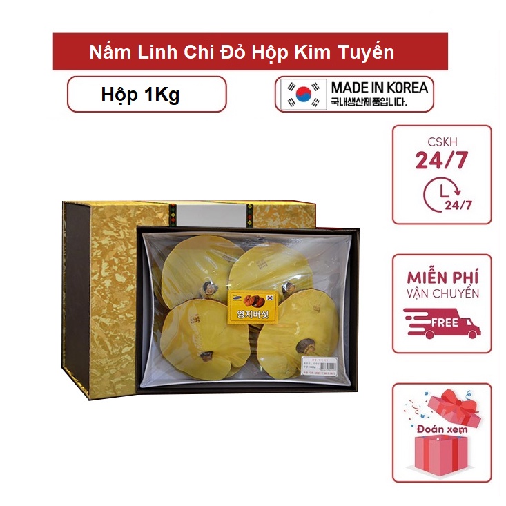Nấm Linh Chi Đỏ 6 HÀN QUỐC HỘP KIM TUYẾN [ Nấm Linh Chi _ Quà Tặng Cao Cấp ]