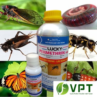 Thuốc diệt côn trùng LUCKY Permethrin 50EC chai 1 Lít