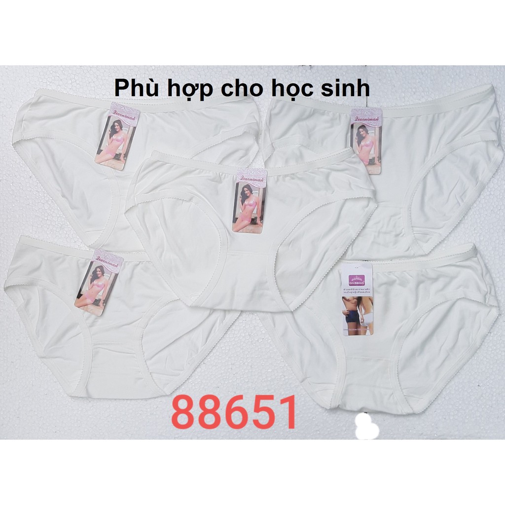 [màu trắng] 10 cái Quần lót nữ Thái Lan 100% Thun Cotton mềm mịn thoáng mát