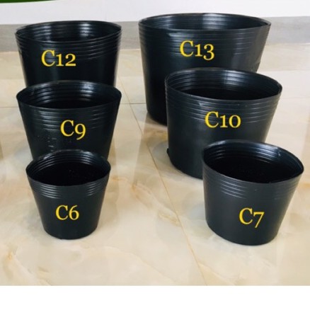 Combo 50 Chậu đen C9
