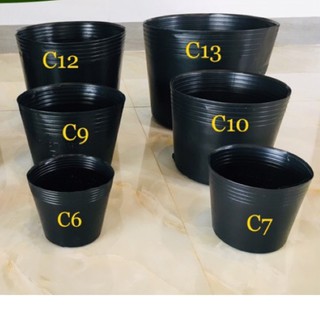 Combo 50 Chậu đen C9