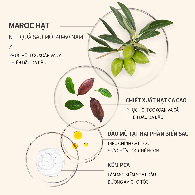 Bộ 5 Mặt Nạ Ủ Tóc BAIMISS 35g Chứa Tinh Chất Thực Vật Quý Hiếm Tái Tạo Tóc | BigBuy360 - bigbuy360.vn