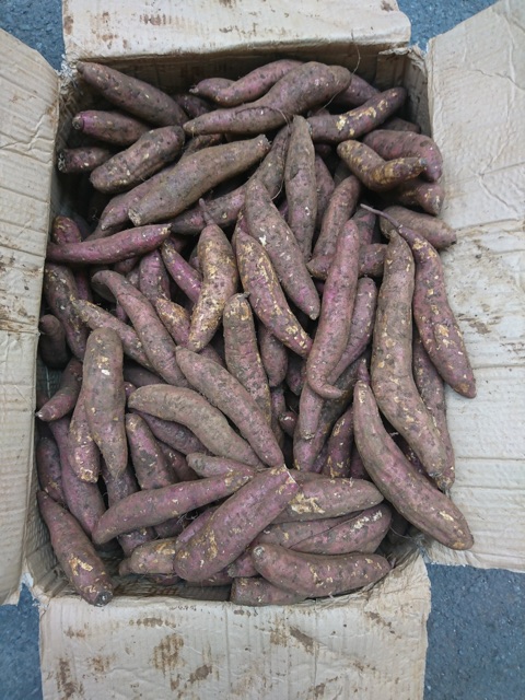 Khoai lang mật Đà Lạt sỉ và lẻ các tỉnh nha mn, bao ngon và chất lượng | BigBuy360 - bigbuy360.vn