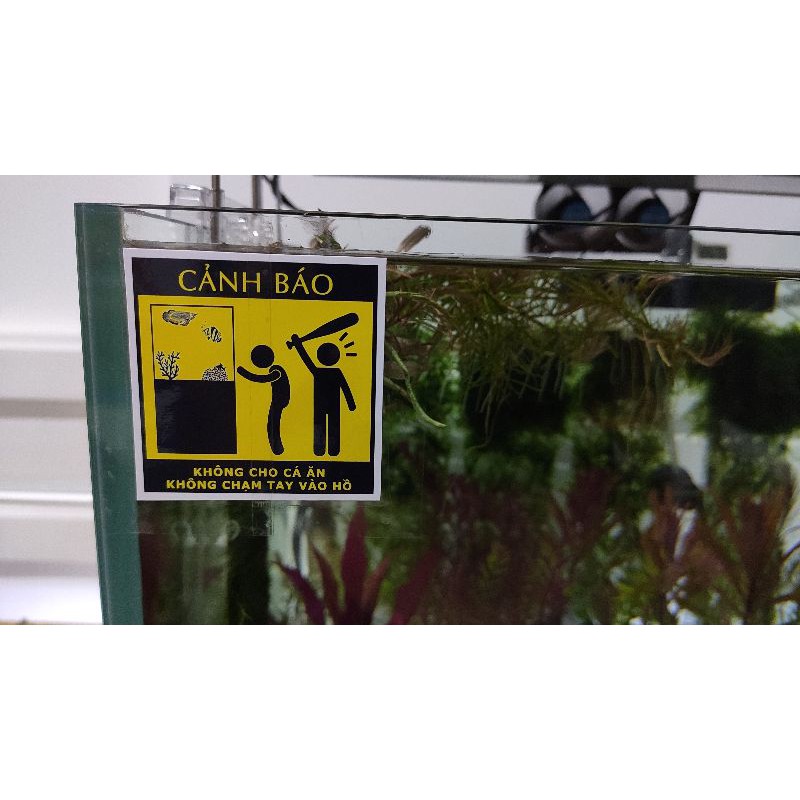 Sticker dán hồ cá - cảnh báo hồ cá