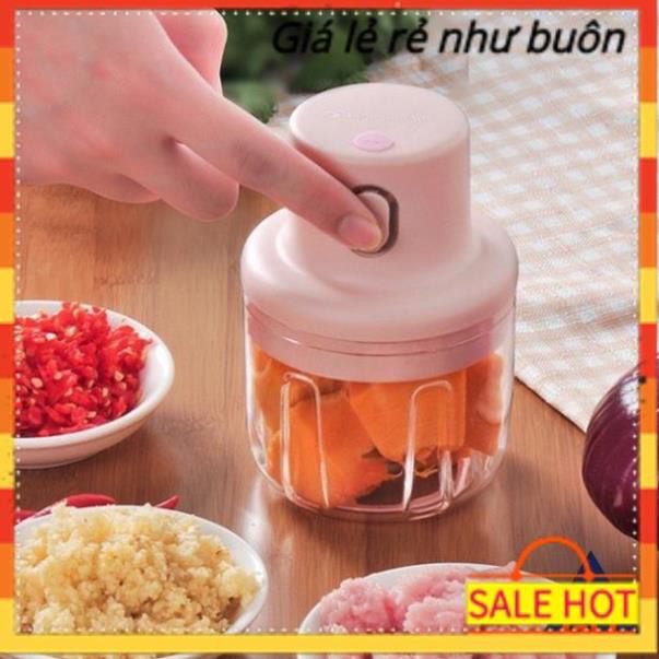 Máy xay đa năng mini cầm tay xay thịt gia vị tỏi ớt rau củ kèm dây sạc dung tích 250ml