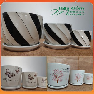 Set 3 chậu kèm đĩa trồng cây- trồng cây để bàn - cây nội thất-sen đá - cây tiểu cảnh - xương rồng nhiều mẫu