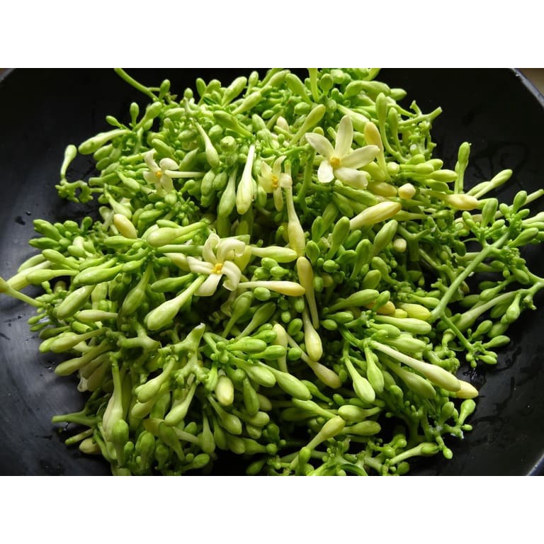 Hạt giống đu đủ đực siêu hoa 30 hạt F1 - rau củ quả trồng sân vườn chịu nhiệt 4 mùa tỉ lệ nảy mầm cao