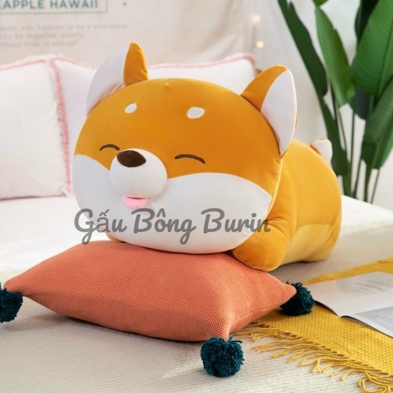 Gấu bông chó shiba lè lưỡi, chó shiba nhồi bông màu vàng, chất miniso