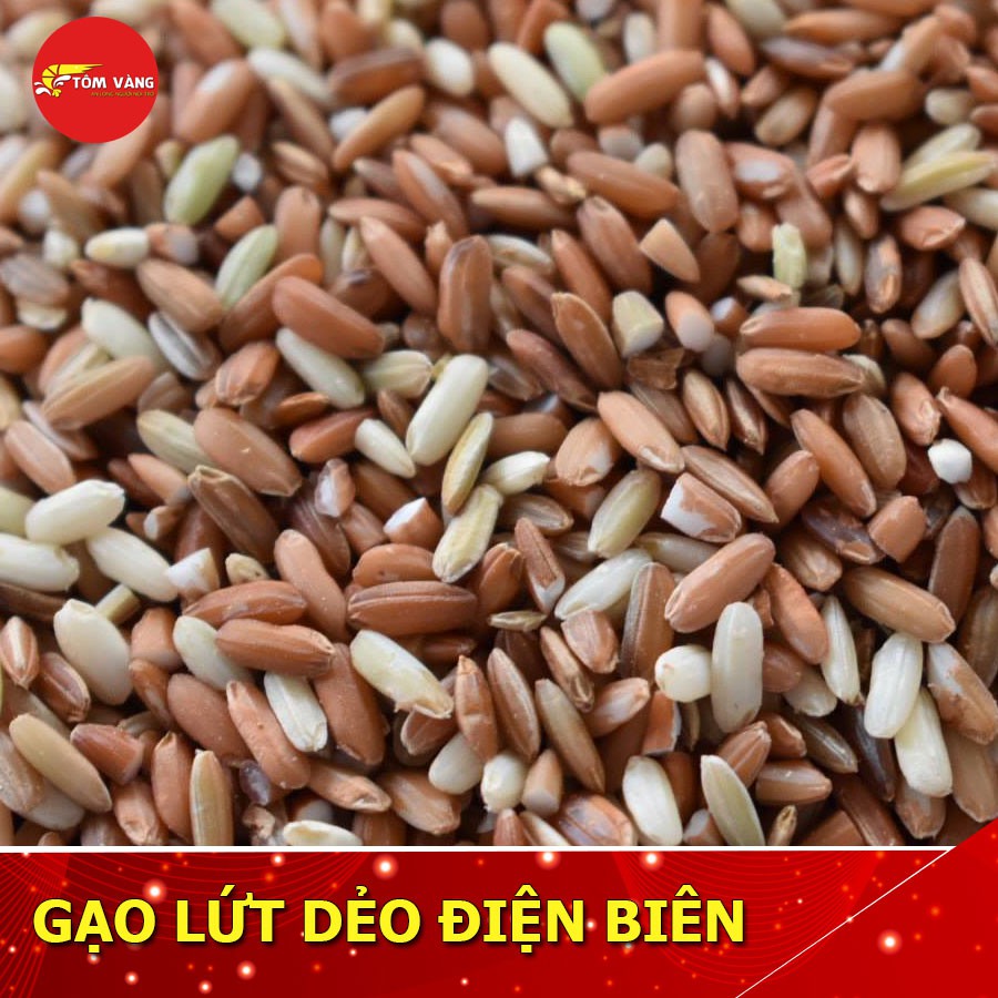 Combo 5kg Gạo Lứt Dẻo Điện Biên Tôm Vàng