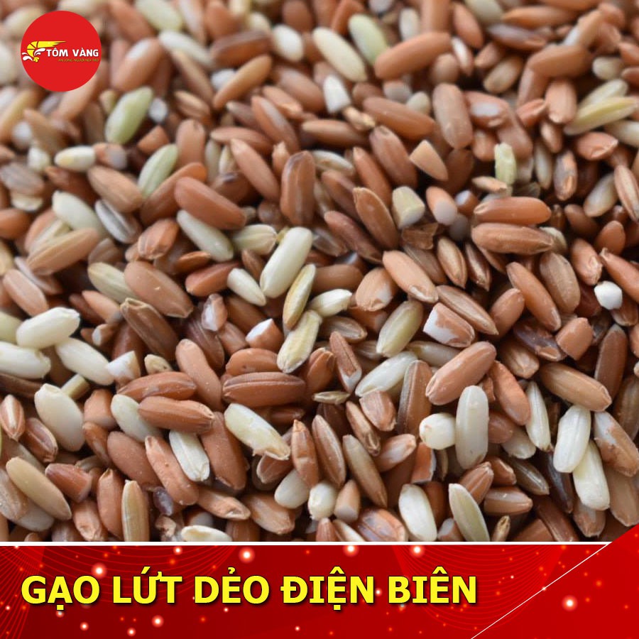 [Mã 154FMCGSALE giảm 8% đơn 500K] Combo 5kg Gạo Lứt Dẻo Điện Biên - Tôm Vàng