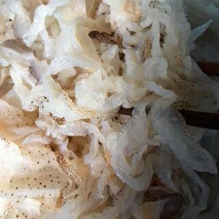 Sứa biển ăn liền
