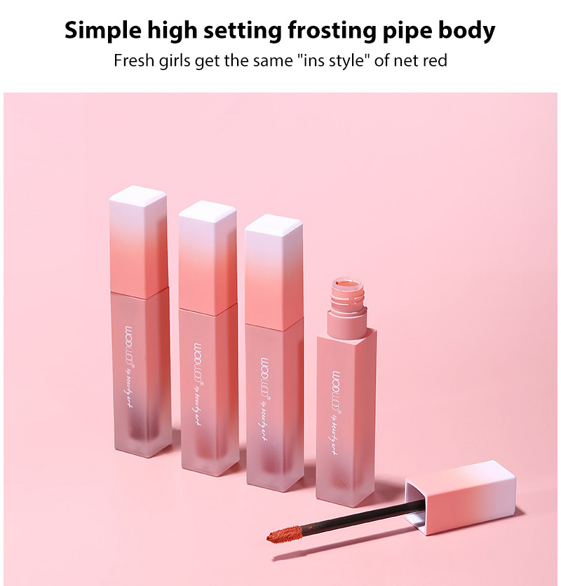 (Hàng Mới Về) Son Môi Trang Điểm Màu Nhung Mờ Sành Điệu | BigBuy360 - bigbuy360.vn