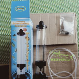 Bộ ấp trứng artemia cho cá cảnh