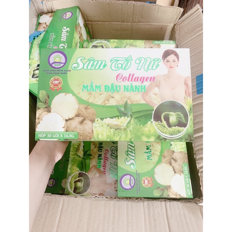 SÂM TỐ- NỮ ĐẬU NÀNH