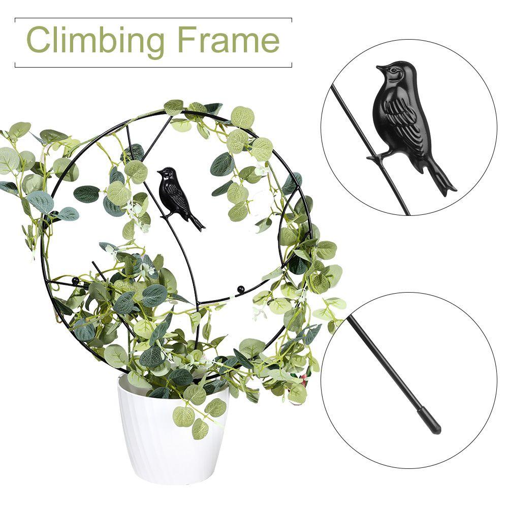 Giá Đỡ Cây Hoa / Rau Củ Bằng Kim Loại Nhiều Hình Dạng Dùng Trong Nhà / Ngoài Trời DIY