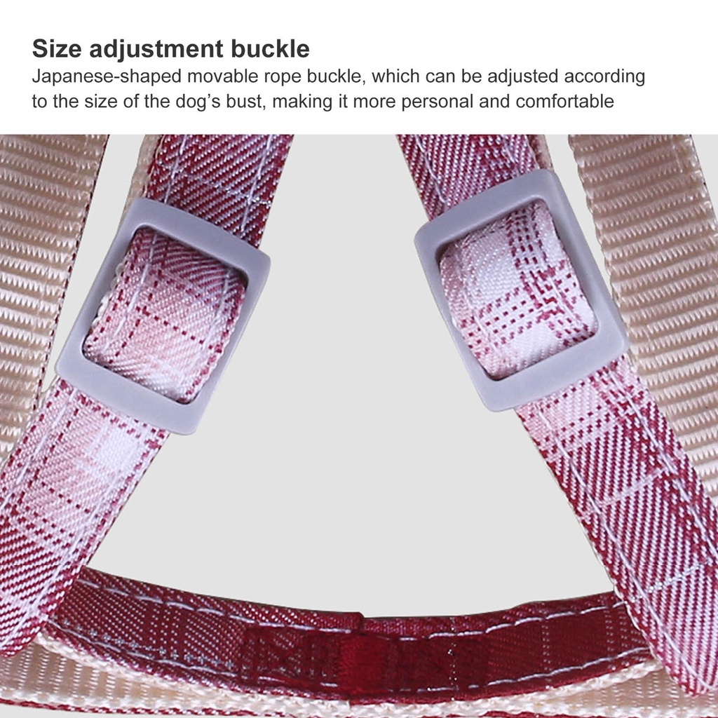 Dây Dắt Thú Cưng Đi Dạo Màu Sắc Tuyến Tính