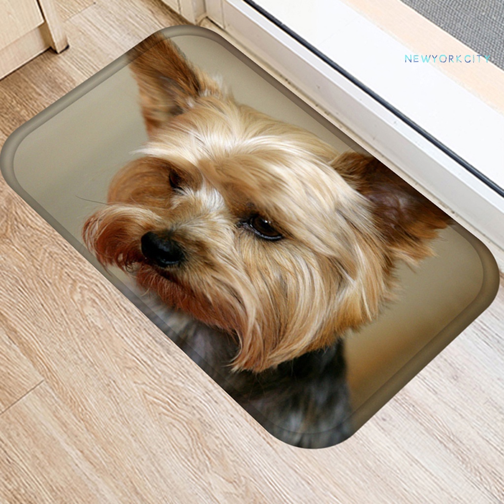 Thảm Chùi Chân Chống Ẩm Siêu Thấm Hút Tiện Dụng Cho Gia Đình