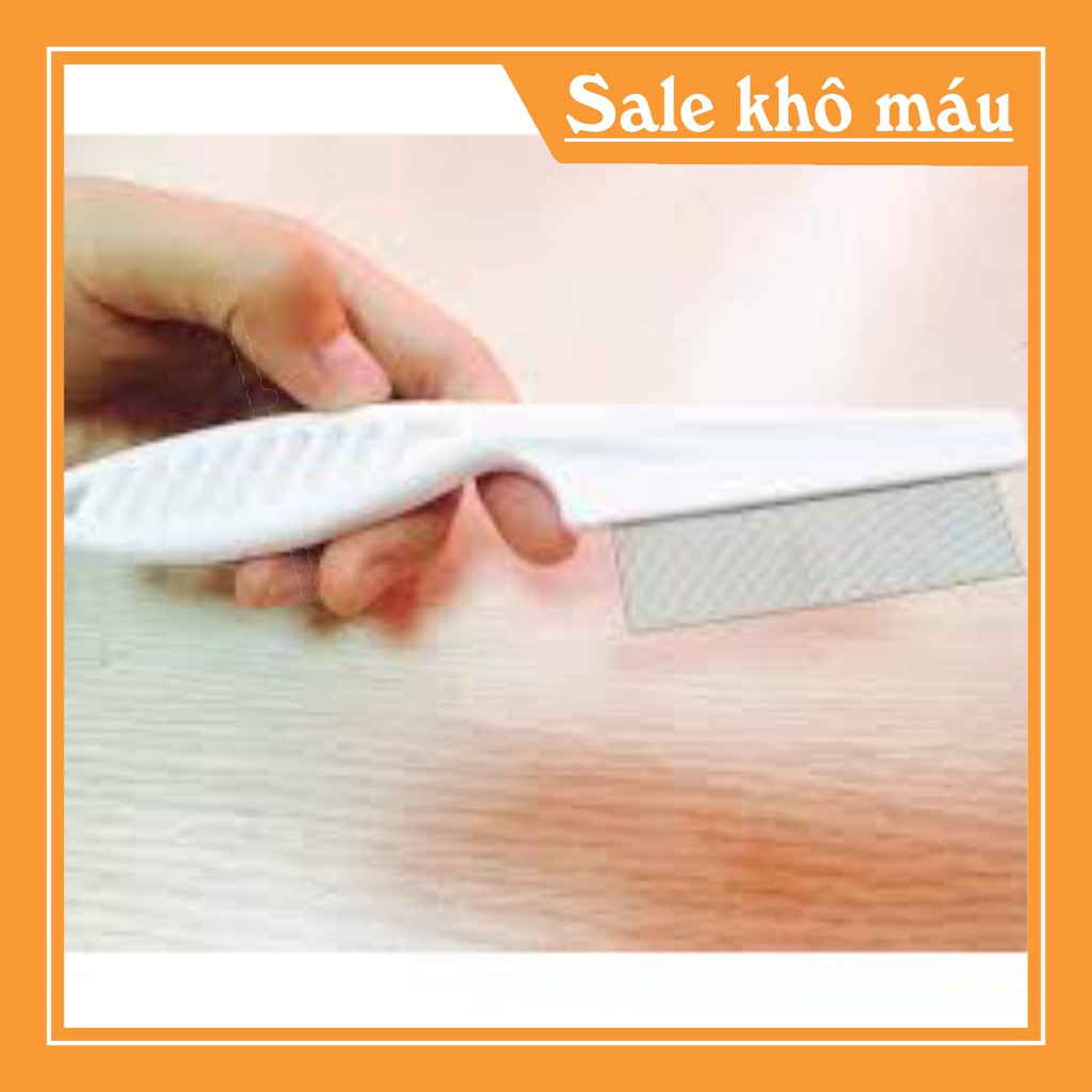 Lược chải lông chó Lược chải bọ chét cho chó mèo