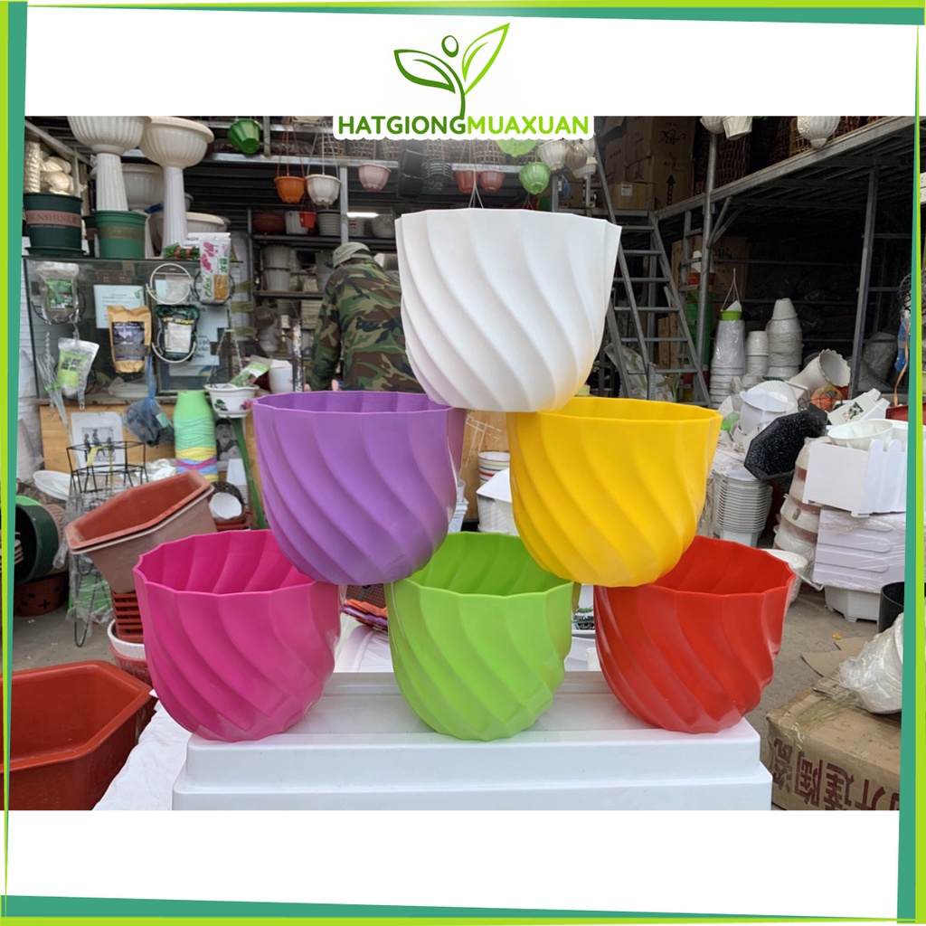 Chậu nhựa ốc xoắn 210BT kt 21x17x13cm