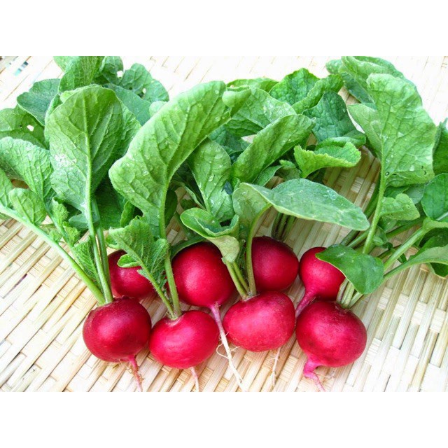 Bán buôn Hạt Giống Củ Cải mini dễ trồng dễ chăm sóc nhanh thu hoạc ( gói 5 gram) bao đẹp