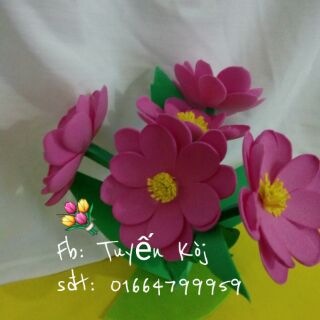 Hoa💐 _trang trí lớp học