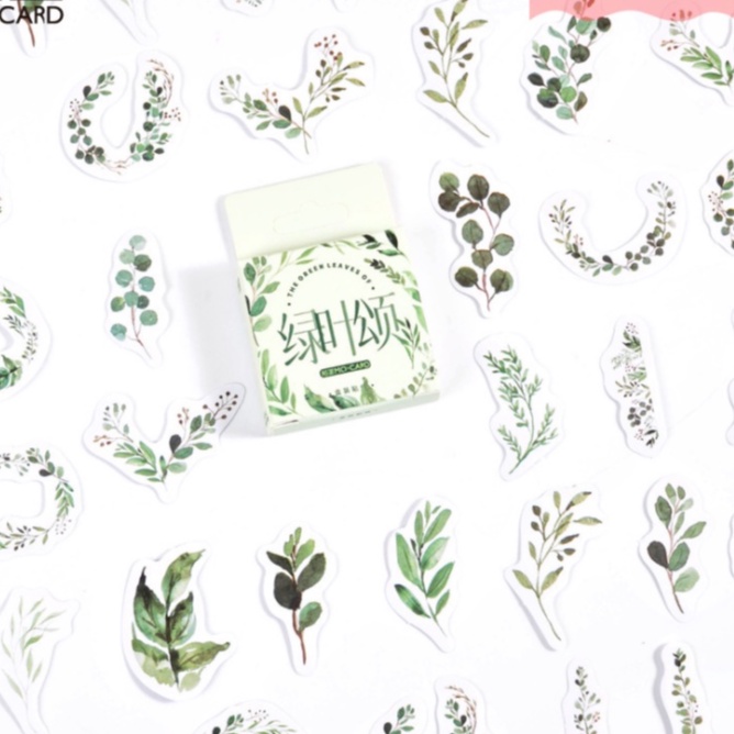 Hộp 46 miếng sticker mẫu vòng lá cây xanh