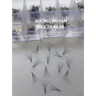 Mi fan 7d dày 0.07 mix cong c - d hộp 1000fan - dụng cụ nối mi - xưởng mi fan