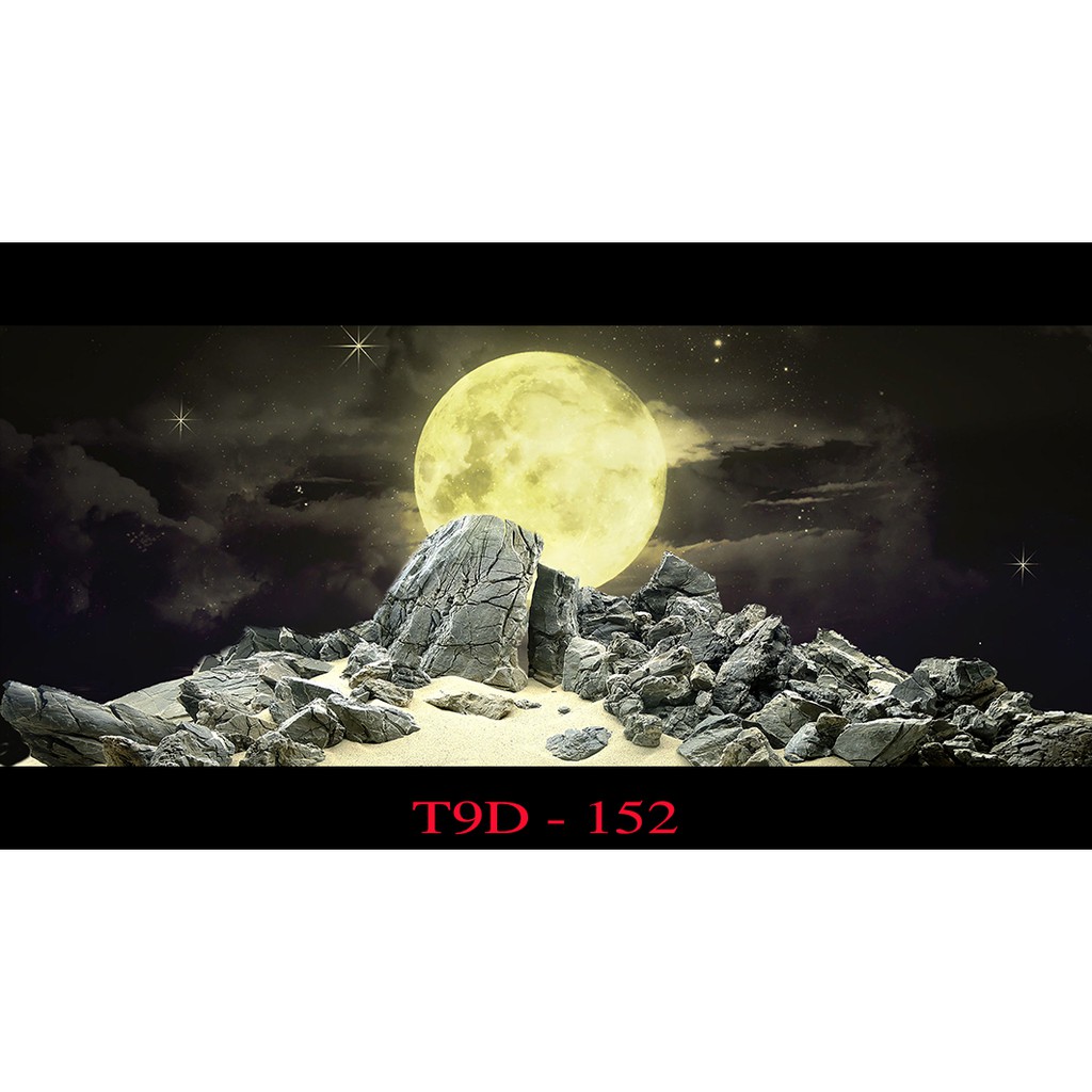 Tranh 3D bể cá mã T9D-152 kt (60,80,90,100,1m2,1m5,1m6)