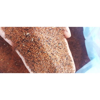 100 gram hạt bạch đàn đỏ