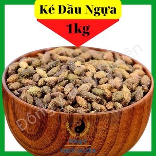 1kg ké đầu ngựa - thương nhĩ tử