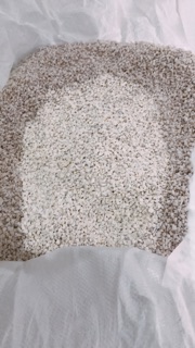 [100g] Đá perlite trồng sen đá
