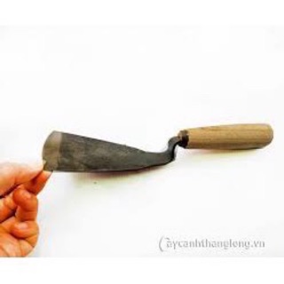 DẦM XỚI ĐẤT - TRỒNG CÂY CẢNH