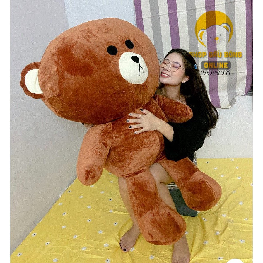 Gấu brown siêu hót khổ 50cm, 80cm, 1m, 1m3, 1m5