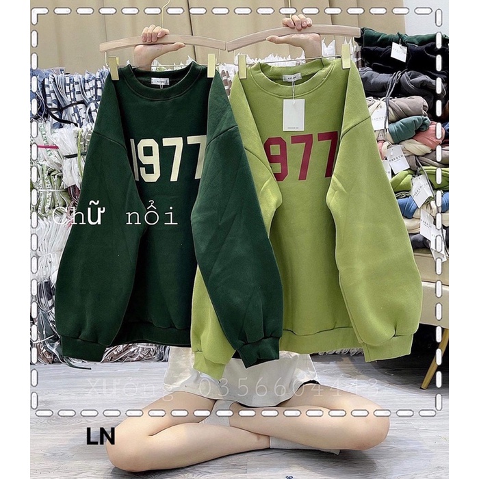 Áo nỉ bo cotton 1977 LN12