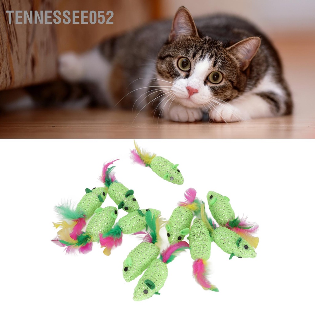 Tennessee052 11 cái Mice Cat Toy Đa dụng Squeaky Tương tác Mèo Đồ chơi Chuột cho và con Màu xanh lá cây