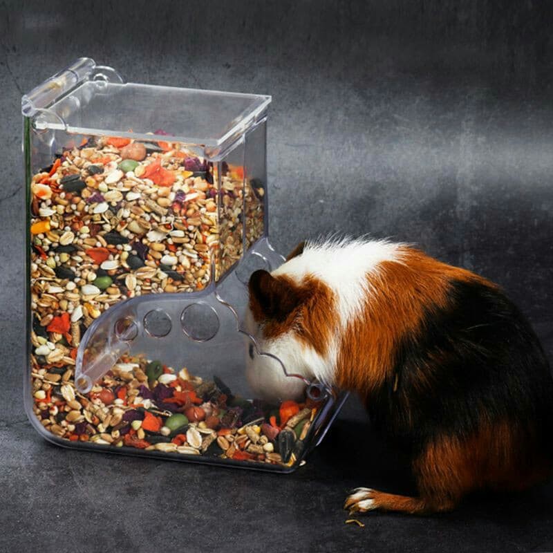 Bộ đổ hạt tự động Zoog cho hamster