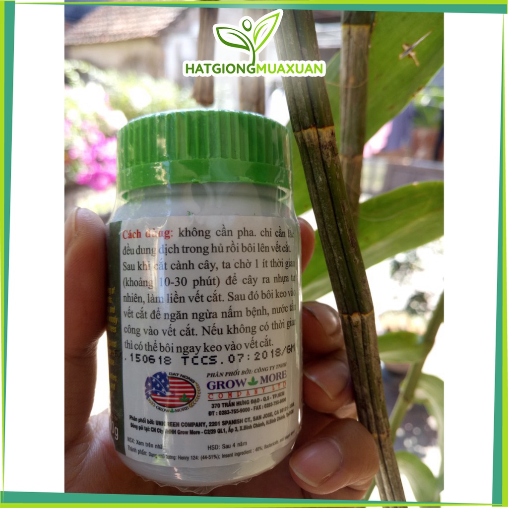 [SIEURE] Keo Liền Sẹo cây Mỹ Morrison 100g hàng đẹp, phân phối chuyên nghiệp.
