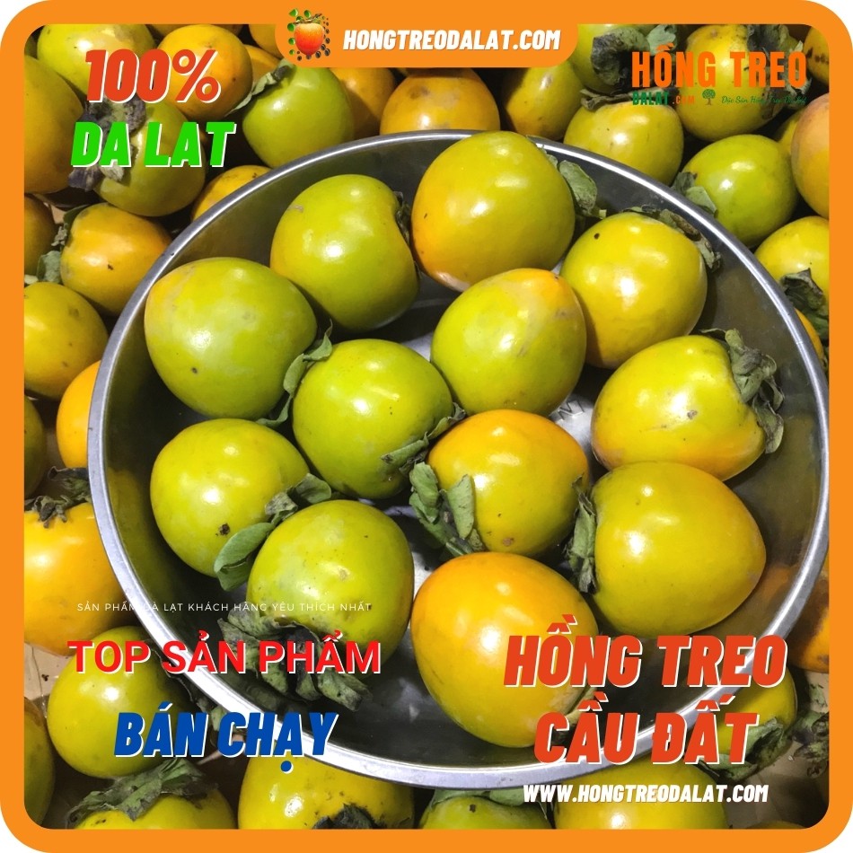 Hồng Treo Gió Cầu Đất Loại 500Gram tại Cầu Đất Farm | BigBuy360 - bigbuy360.vn