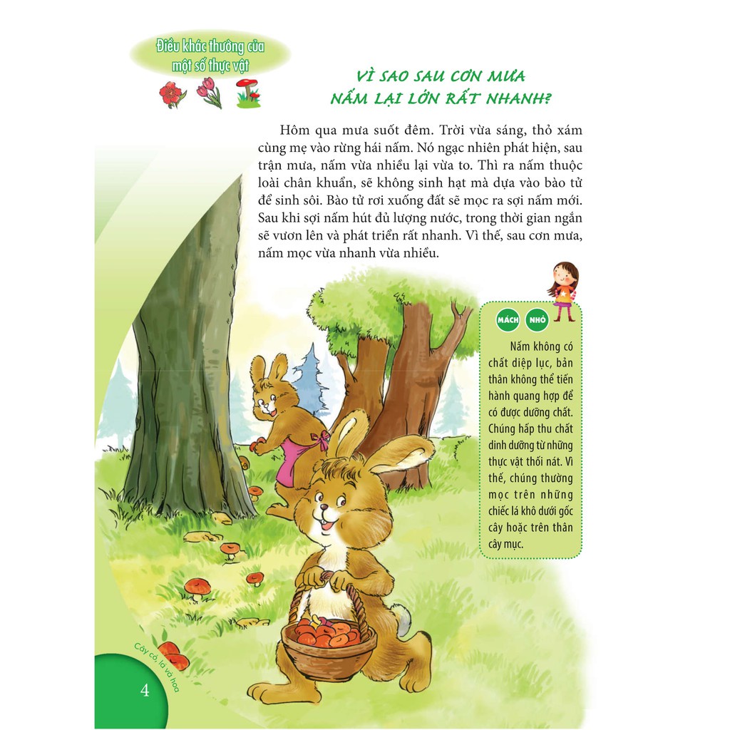 Sách - 10 Vạn Câu Hỏi Vì Sao - Cây Cỏ, Lá Và Hoa (Tái Bản)