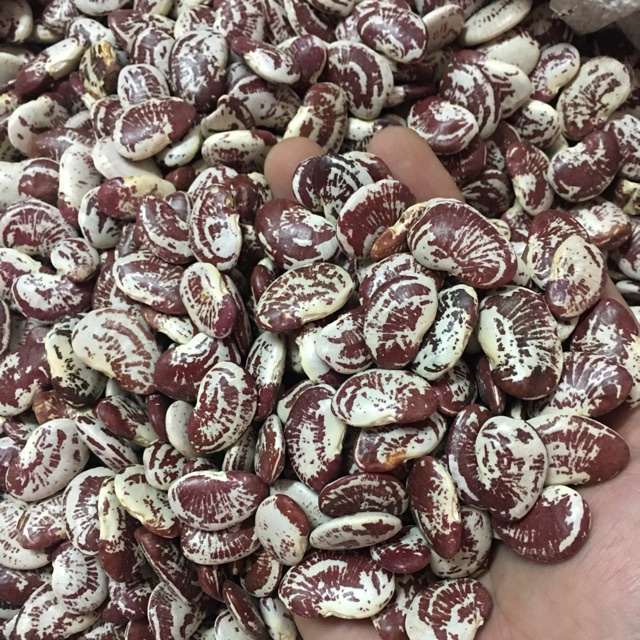 Đậu Ngự MOONFARM Hàng Loại 1 Thơm Bở Ngon Chuẩn Chất Lượng