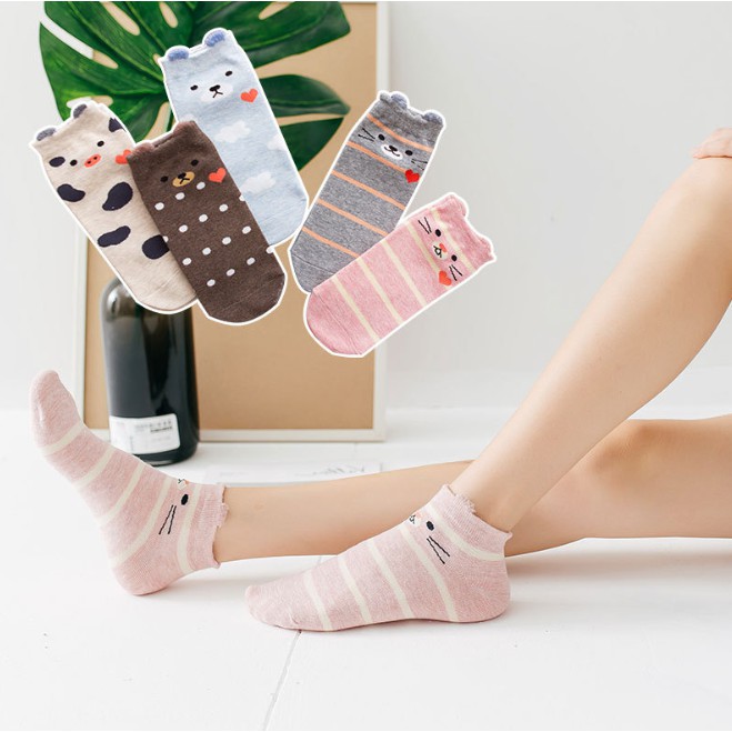 Combo 5 đôi vớ nữ hình con vật dễ thương, xinh xắn