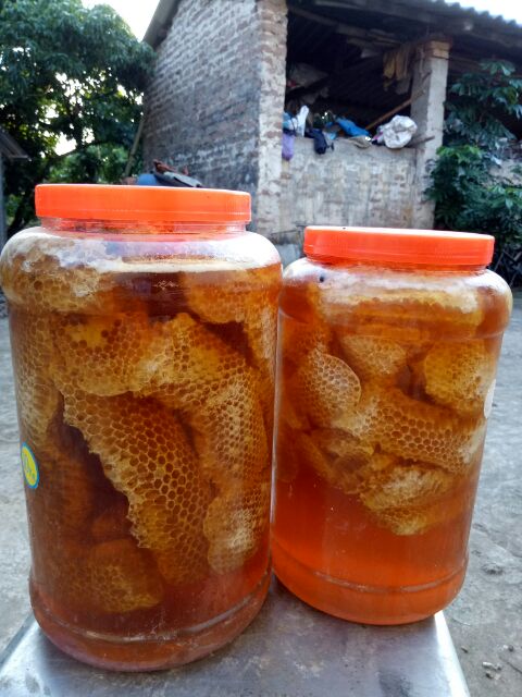 Mật ong rừng nguyên sáp hảo hạng 1kg