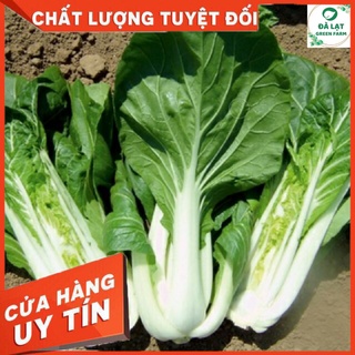 🌱HẠT GIỐNG CẢI BẸ TRẮNG_20GR(TỈ LỆ NẢY MẦM CAO)🌱